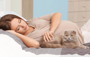 Котики и песели, которые заботятся о беременных хозяйках: 15 фото, заставляющих плакать от умиления