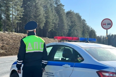 Инспекторы ДПС помогли дальнобойщику в Пряжинском районе