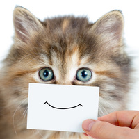 Аватарка NikoLa$h@