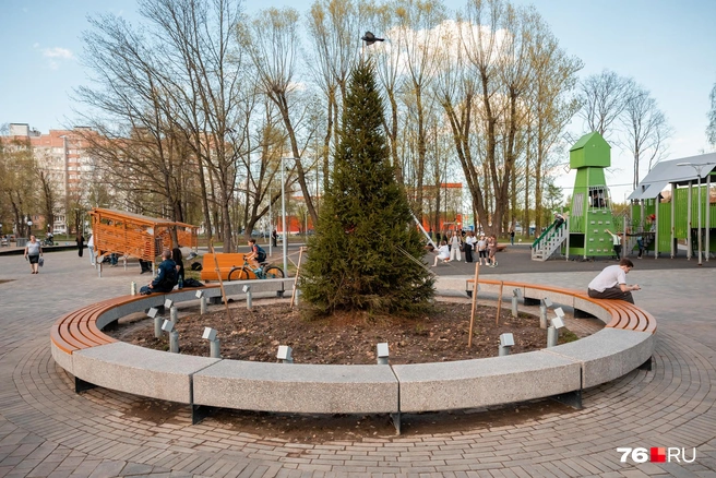 Парк, безусловно, стал краше, но атмосфера неухоженности в нем остается | Источник: Александр Куренной / 76.RU 