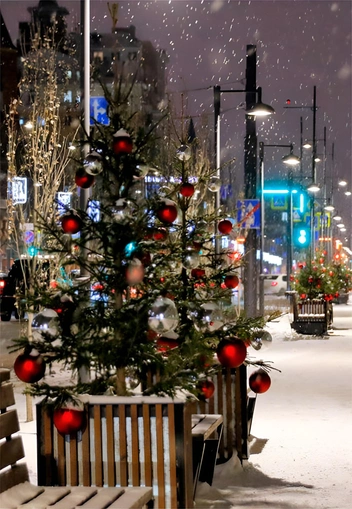 Вдоль улиц поставят елки | Источник: Администрация Тюмени