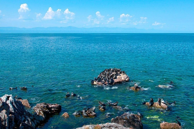 Источник: «Кристальный Байкал»