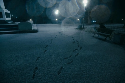 МЧС объявило экстренное предупреждение о снегопаде