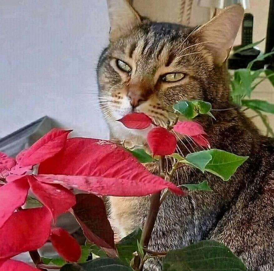 Вот как то так :-)) Вот как то так :-)) Хулиганство