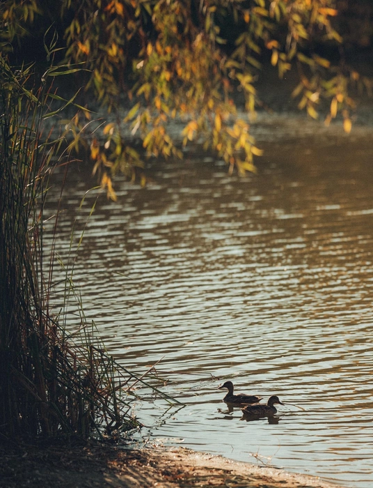 Источник: Александр Воднев