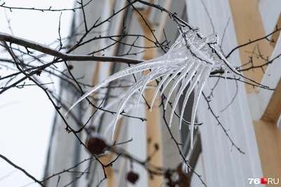 Самые крепкие морозы зимы придут в Центральную Россию