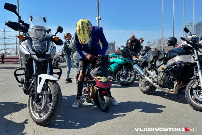 Источник: Елена Буйвол / VLADIVOSTOK1.RU