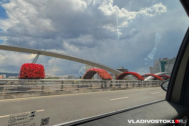 Источник: Елена Буйвол / VLADIVOSTOK1.RU