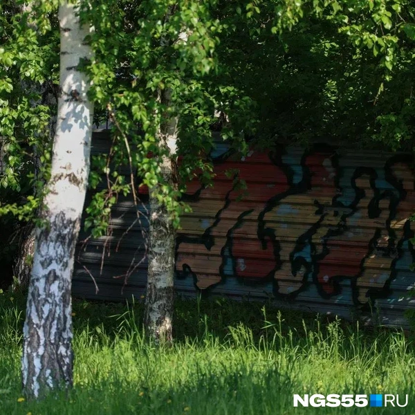 Тут явно нужно пройтись с косой | Источник: Евгений Софийчук / NGS55.RU