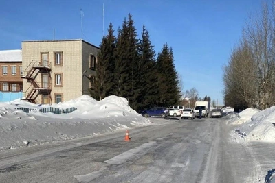 Driver Kills Woman, 75, in Hit-and-Run Near Novosibirsk