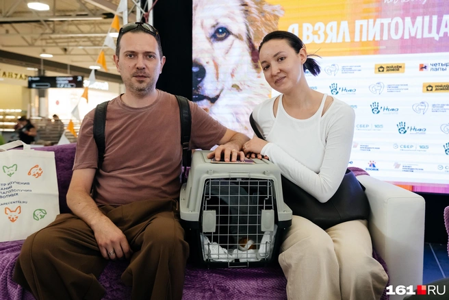 Животные еще не понимают, что они уже чьи-то | Источник: Евгений Вдовин / 161.RU