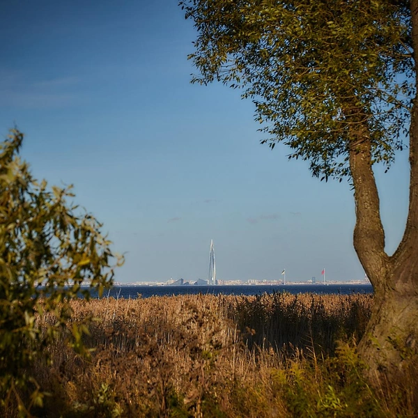 Источник: музей-заповедник «Петергоф»