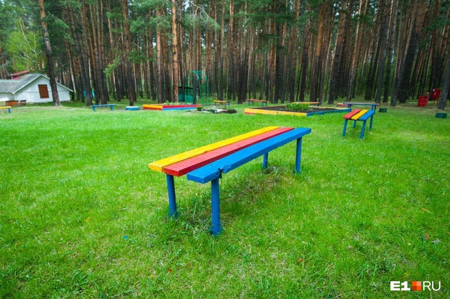 Отдых в детском лагере обернулся массовой вспышкой коронавируса | Источник: Артём Устюжанин / E1.RU
