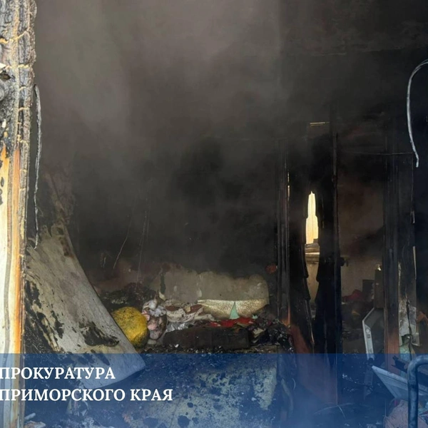 Источник: Прокуратура Приморского края / Telegram-канал
