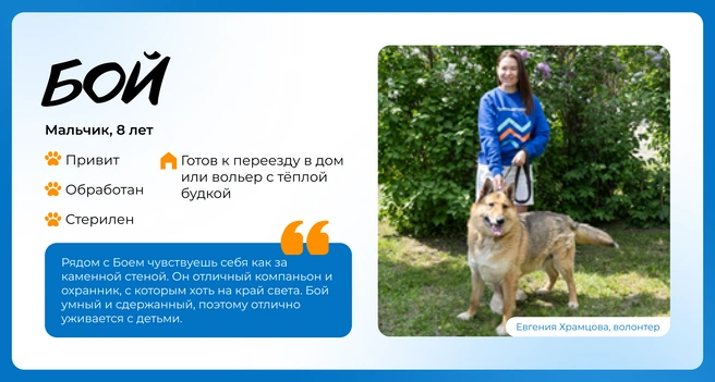 Источник: Василиса Молахова, Евгений Шаров