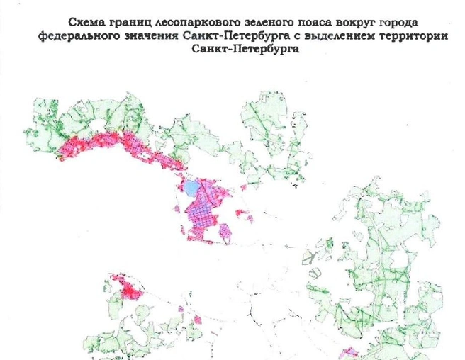«Зеленый пояс» Петербурга обсудили в Ленобласти | Источник: Всероссийское общество охраны природы