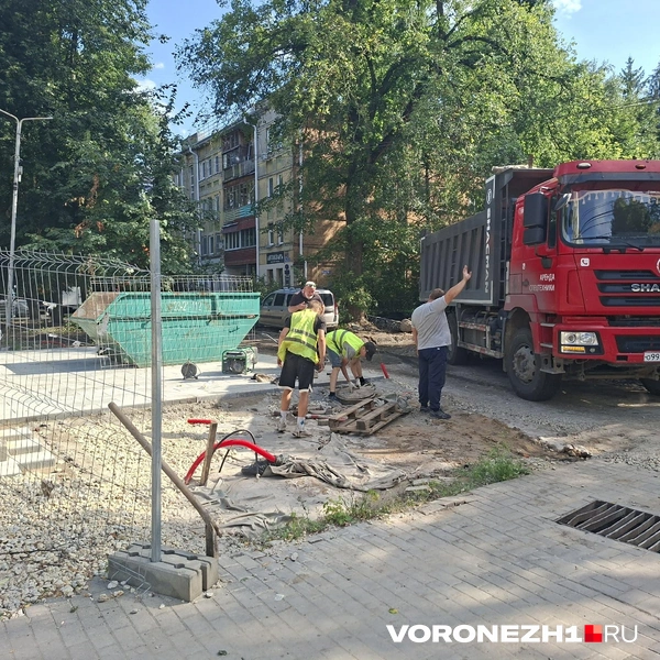 Источник: Алёна Воропаева / Voronezh1.ru
