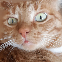 Аватарка Marusik