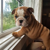 userpic__Mari1000