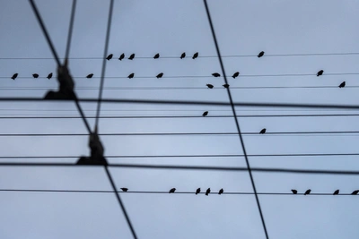 19 марта на Ставрополье отключат электричество