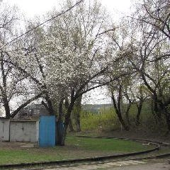 На неделе в Кузбассе ожидаются заморозки и мокрый снег | Источник: www.city-n.ru