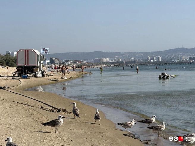 Людей совершенно не пугает, что на пляжах еще идут работы | Источник: Валерия Дульская / 93.RU