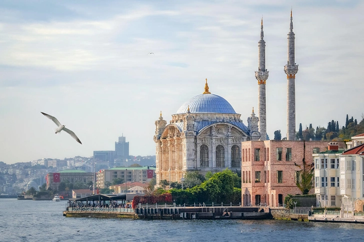 Источник: bonilook/Shutterstock/Fotodom.ru