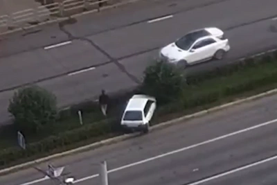 Водитель ВАЗа снёс дерево, вышел из машины и ушёл: видео