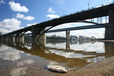 Пьяные подростки сбросили товарища с девятиметрового моста