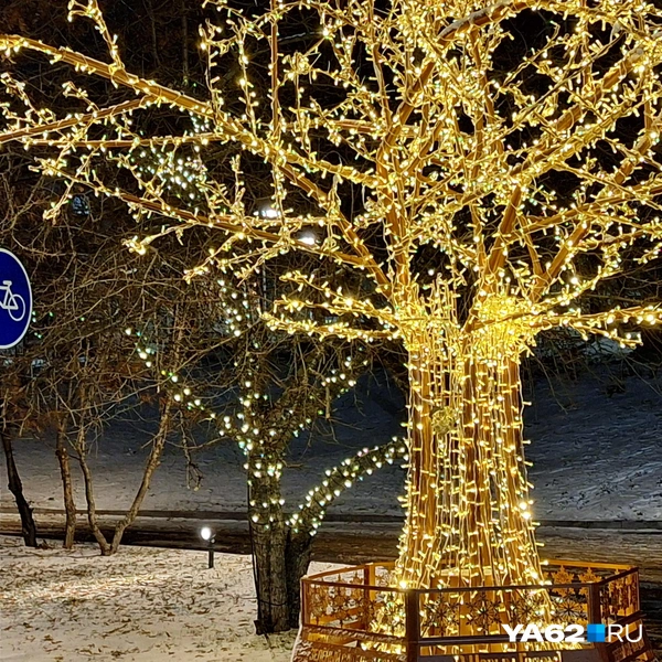 Весь бульвар был украшен светящимися гирляндами | Источник: Мария Борзева / YA62.RU