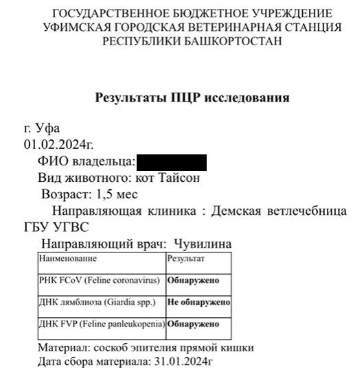 Первые анализы — имя животного записано мужским, потому что на тот момент никто не знал, что это девочка | Источник: предоставлено героем материала