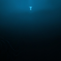 Аватарка Кат