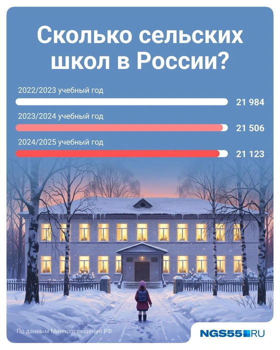 Источник: Полина Авдошина / Городские медиа