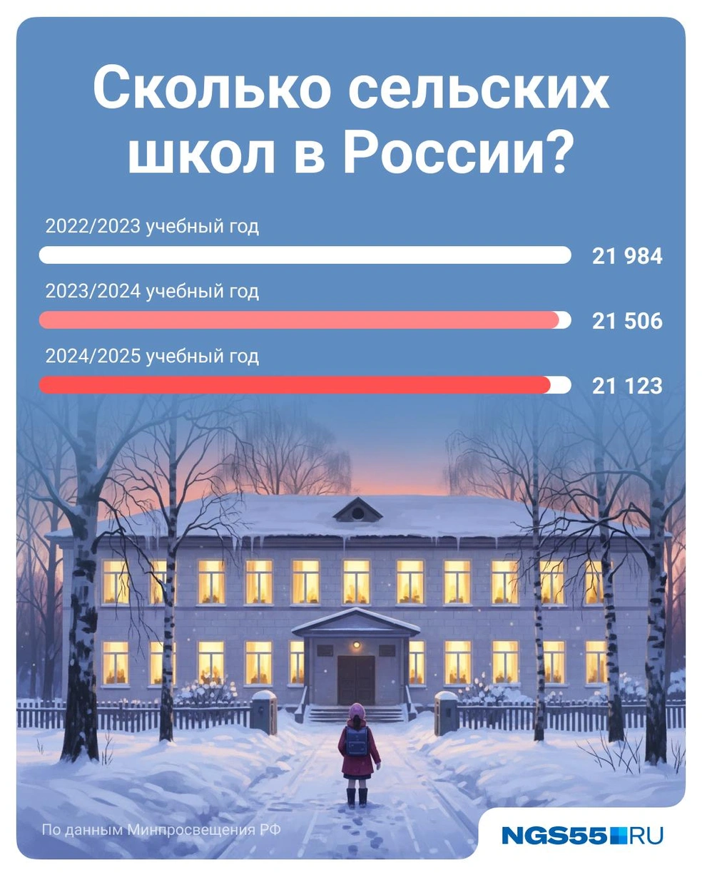 Источник: Полина Авдошина / Городские медиа