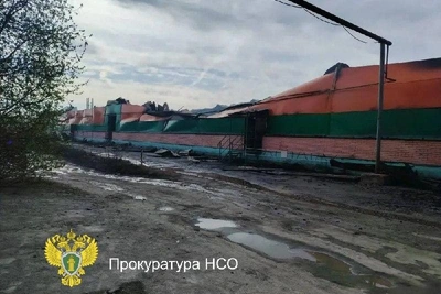 Прокуратура начала проверку после пожара в ТЦ «Апельсин»