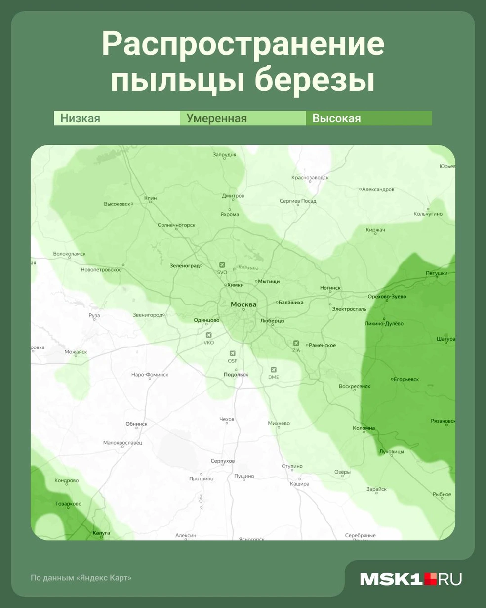 Так сейчас выглядит облако пыльцы | Источник: Юрий Скулыбердин / Городские медиа