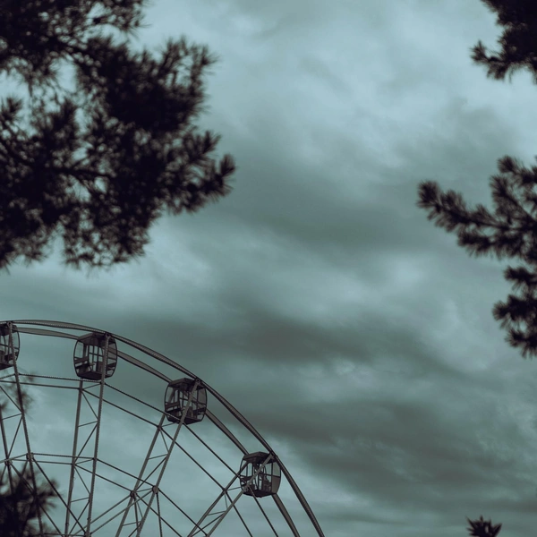 55-метровое колесо в ЦПКиО выглядит мрачно на фоне пасмурного неба | Источник: Алексей Сапицкий