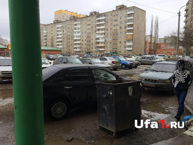 Источник: Тимур Шарипкулов