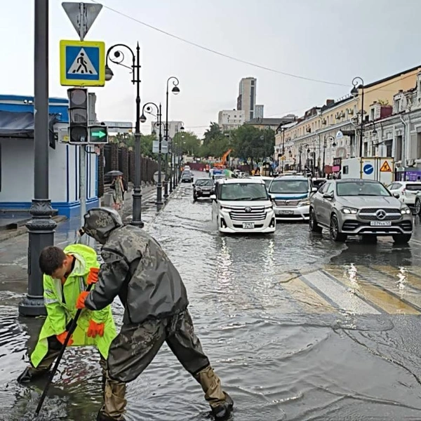 Источник: «Содержание Городских Территорий | Владивосток» / T.me
