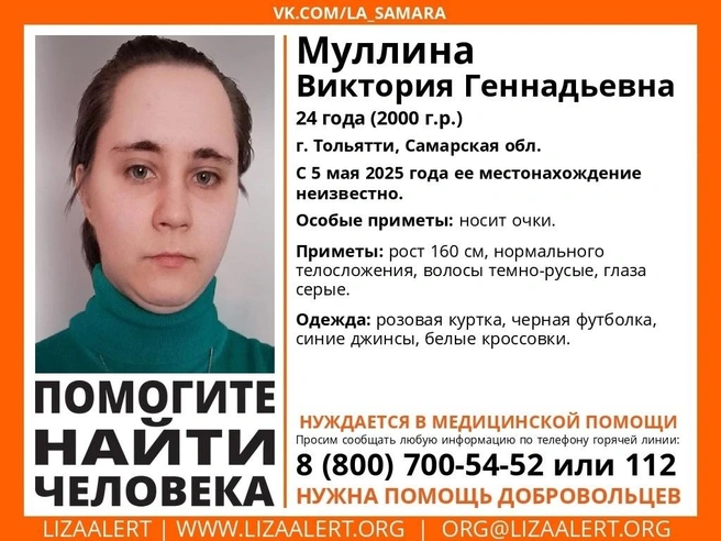Объявление разместили на второй день после исчезновения Виктории | Источник: «Поисковый отряд „ЛизаАлерт“ Самарской области» / Vk.com