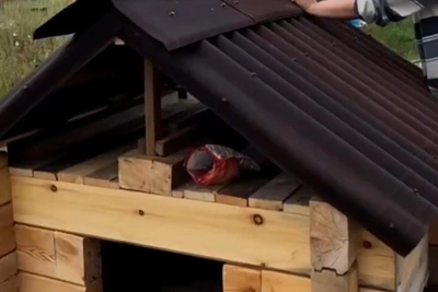 Blogger Panda Sakha's Sons Build Doghouse for Nord