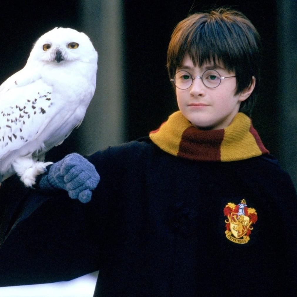Тест по вселенной Гарри Поттера: примут ли тебя в Хогвартс?