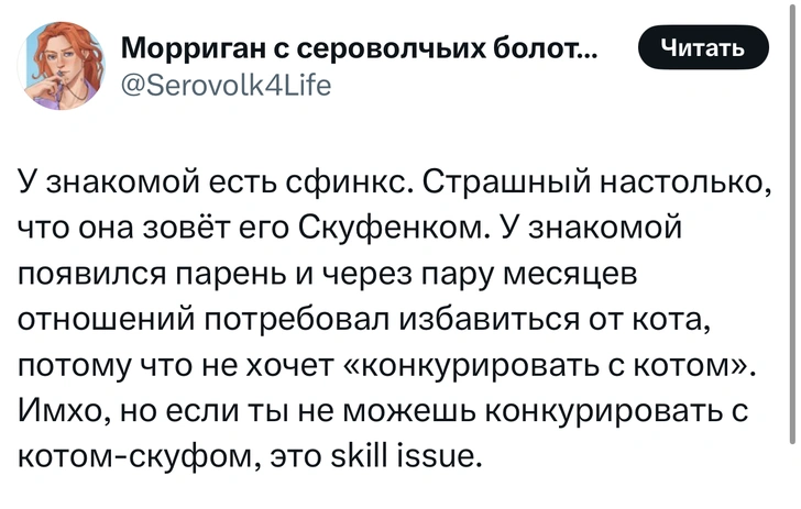 Источник: X (Twitter)