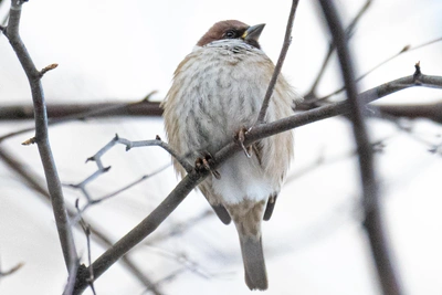 Облачно и теплее: погода в Приморье 2 февраля