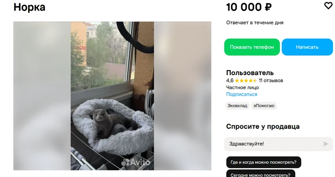 Источник: Авито