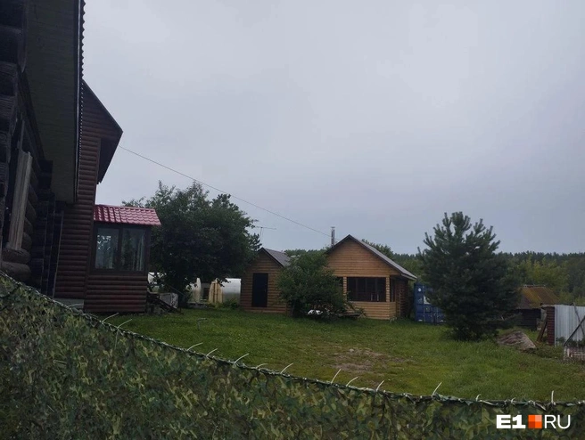 С екатеринбуржца взяли деньги, но никаких коттеджей и альпака на месте не оказалось | Источник: читатель E1.RU