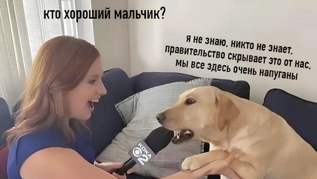 Лучшие мемы про теории заговора. Часть 3
