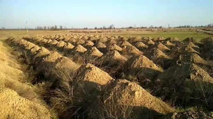 Власти украинского города выкопали 600 могил, чтобы убедить местных жителей соблюдать карантин (видео)