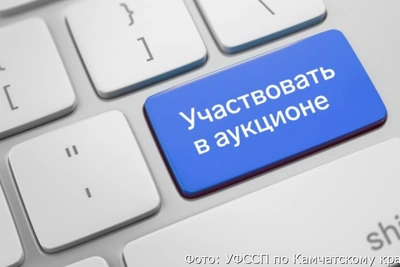 Компании Иванчея на Камчатке уйдут с молотка
