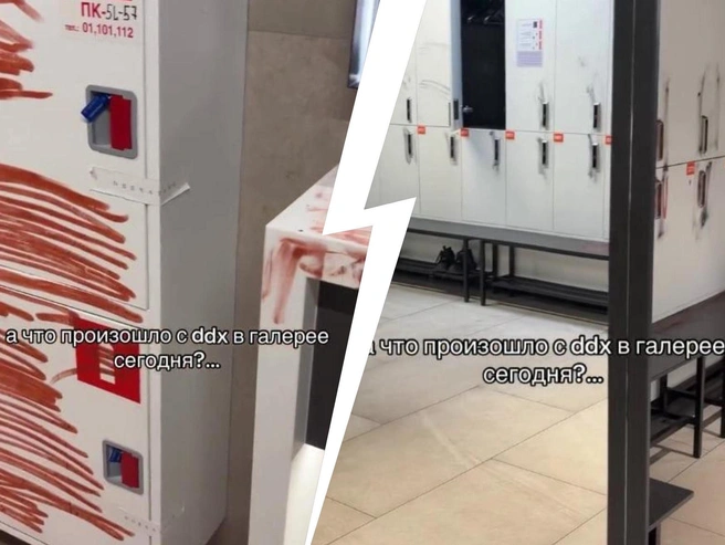 Фитнес-зал в «Галерее» временно закрывали из-за краски | v-peterburge.ru